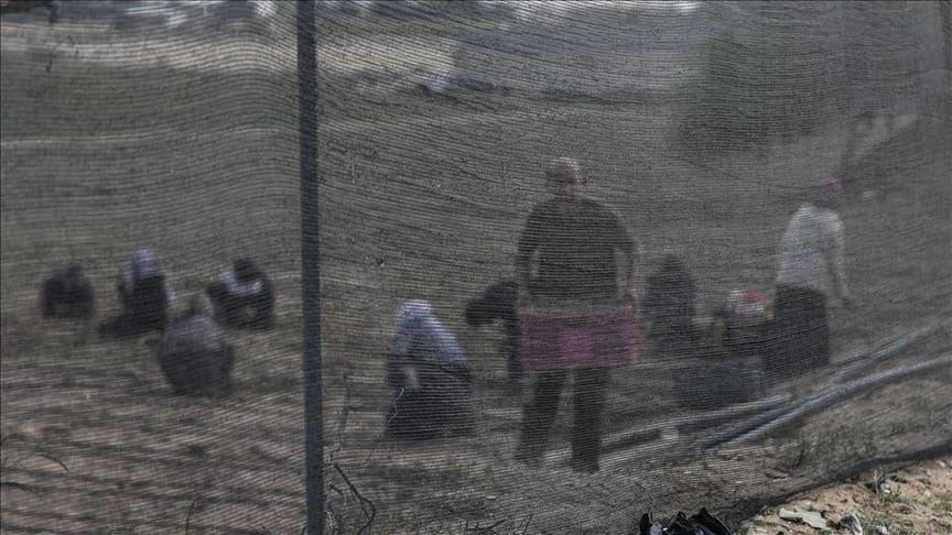 Izraelski napadi uzrokovali štetu od šest miliona eura na palestinskom poljoprivrednom zemljištu u jednoj sedmici