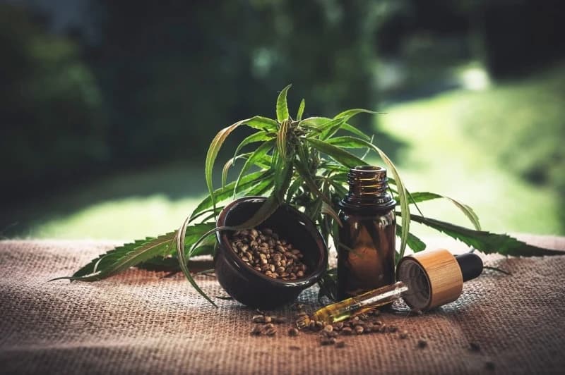 Korak ka legalizaciji kanabisa u medicinske svrhe: Kome pomažu pripravci i šta će i dalje biti zabranjeno