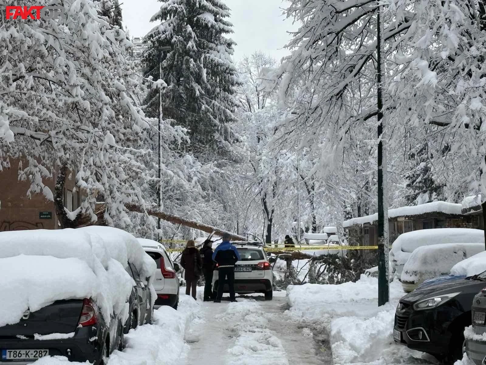 Preminula žena na koju je u naselju Grbavica palo stablo