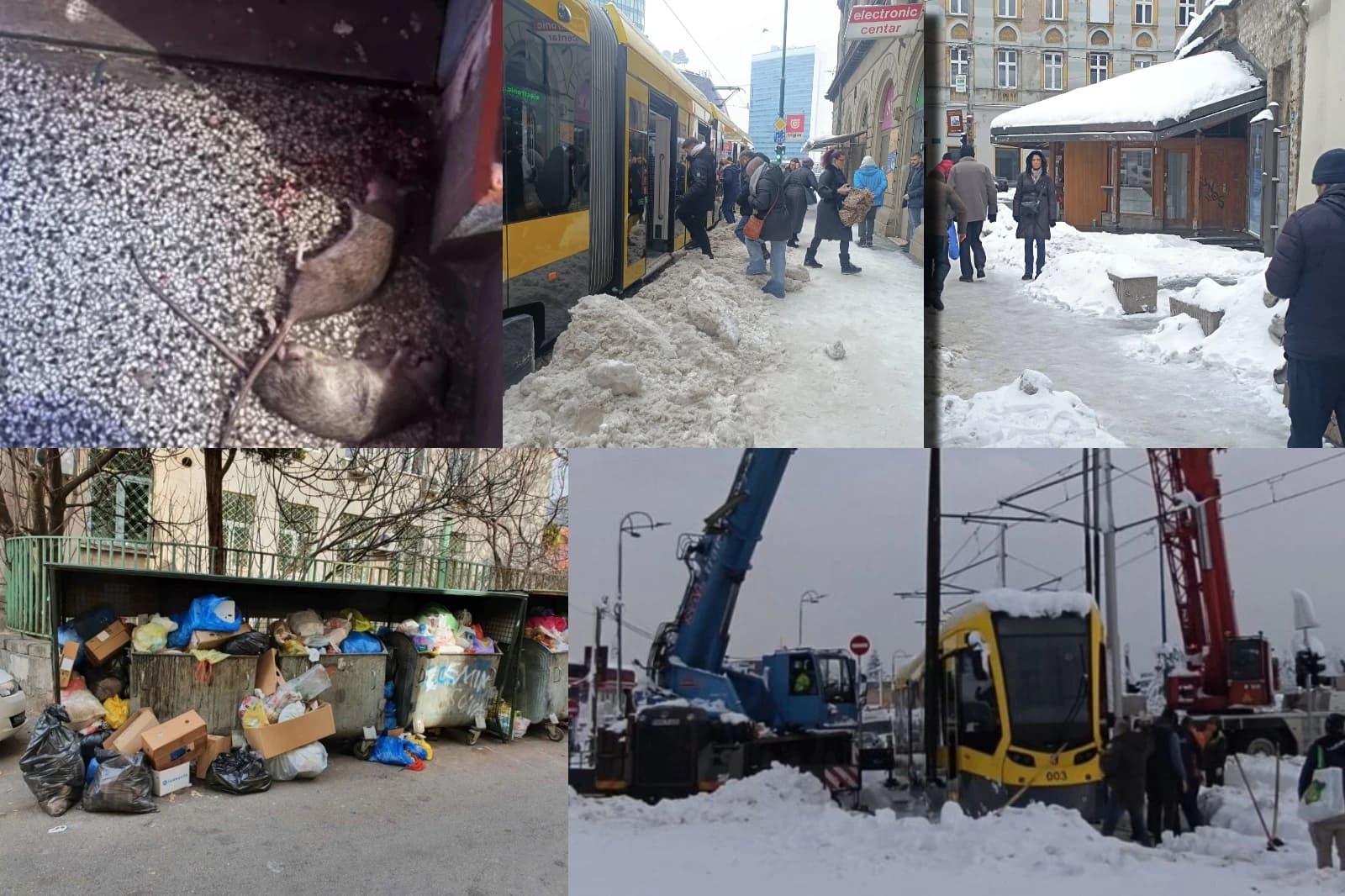 "I u Švedskoj problemi, zdra'o": Snijeg, pacovi, smeće..., godišnja doba se mijenjaju, samo je javašluk Trojke trajan