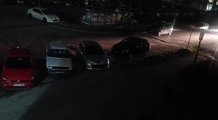 Ulica Semira Frašte