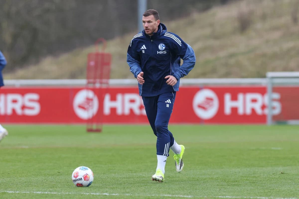 Edin Džeko već "isplatio" svoju plaću Schalkeu