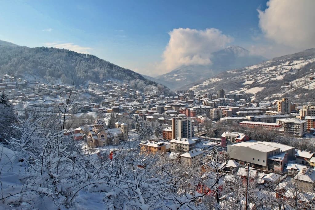 Foča zimi