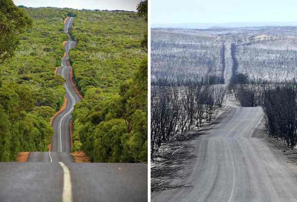 Australija, posljedice požara 