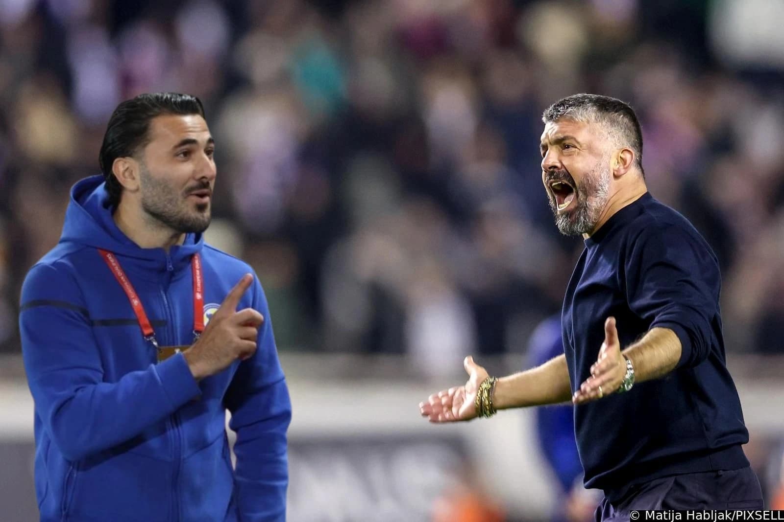Hoćemo li gledati "sudar" Kolašinca u Gattusa?