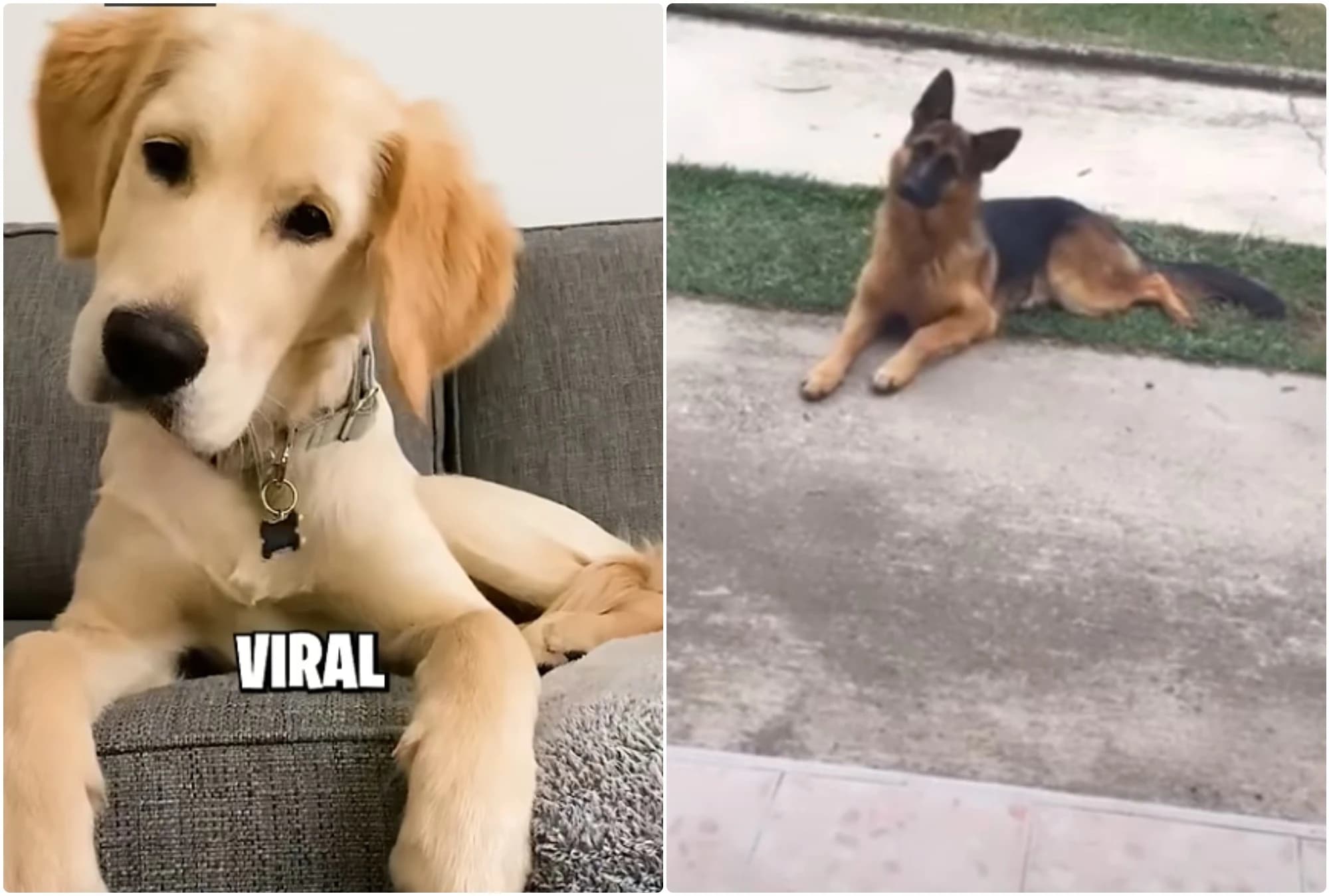 Kad naginju glavu