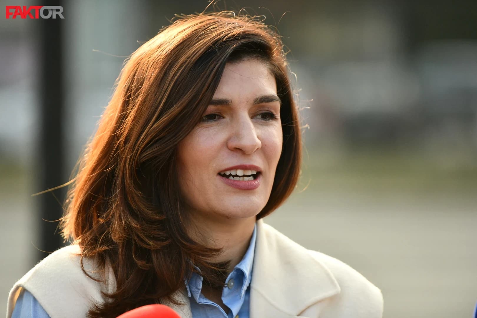 HDZ ga ustoličio, HDZ ga smjenjuje, ali Ćudić su krivi SDA i DF: Važniji i draži im je onaj Dragan od ovog Dragana