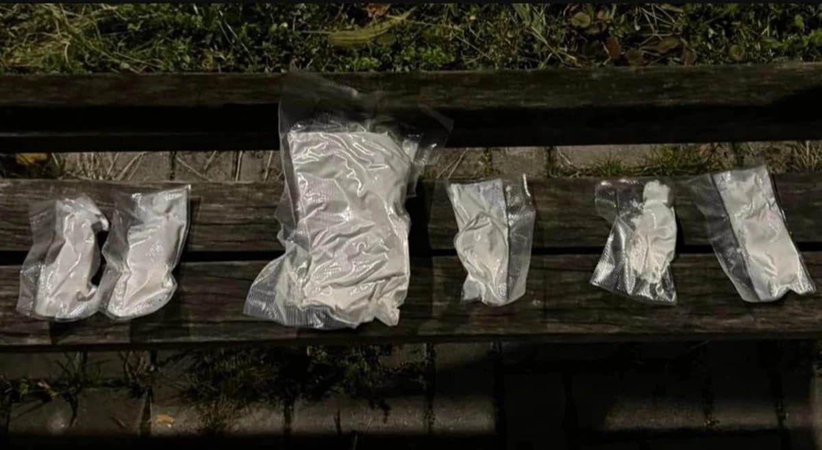 Zaplijenjena droga