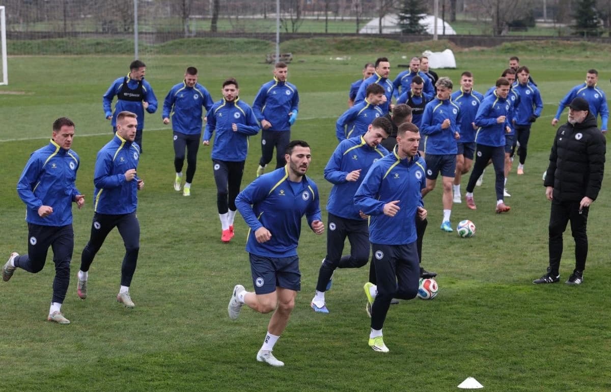 MVPBiH dodijelit će diplomatske pasoše fudbalerima BiH i stručnom štabu