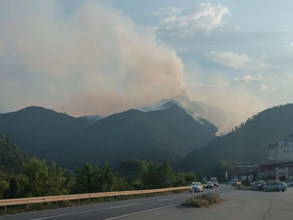 Papratnica kod Žepča