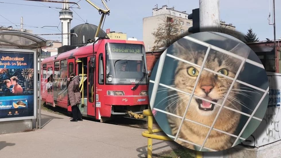 Do napada navodno došlo jer je žena nosila mačku u transporteru