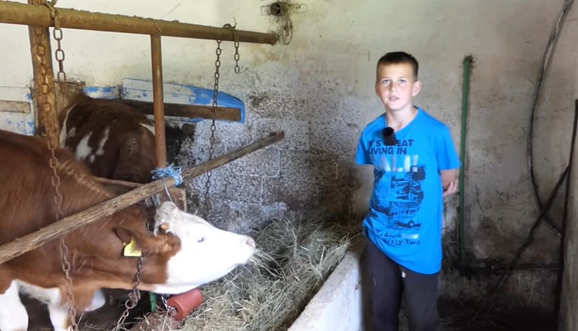 Jedanaestogodišnji Asim se bavi poljoprivredom i uzgojem stoke