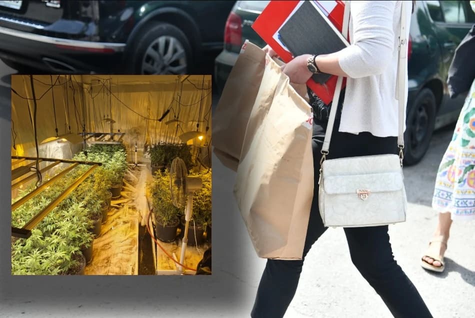 Taman "razradila posao": Tužilaštvo traži pritvor za sarajevsku "Bijelu udovicu"