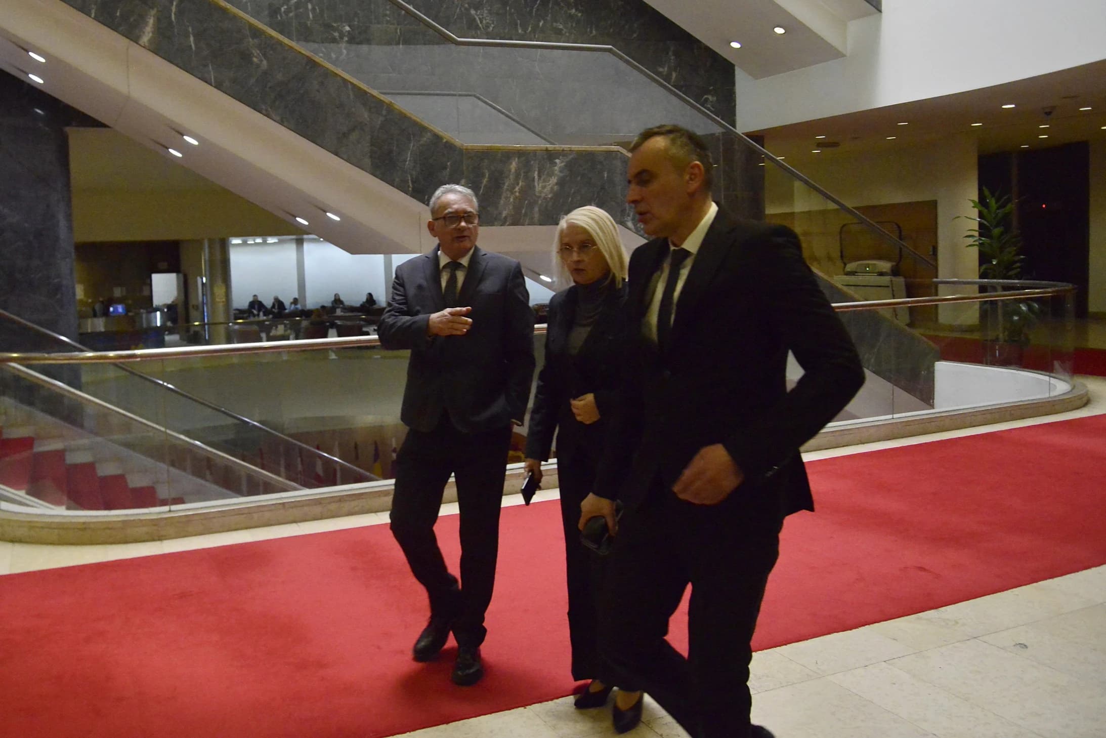 Hitno, ali za skoro mjesec: Babalj sazvao sjednicu Zastupničkog doma o zaštiti domaće proizvodnje