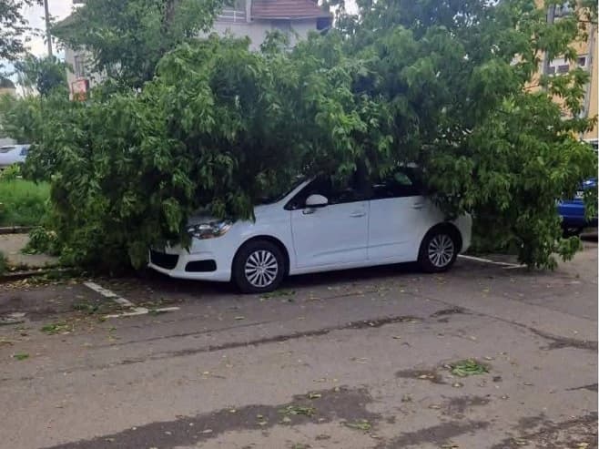 Velika oluja u Banjoj Luci, drvo se srušilo na automobil
