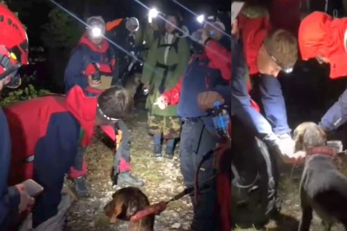 Spasioci na Prenju pronašli pet mladih Čeha, objavili snimak potrage