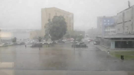 Veliko nevrijeme pogodilo Bosansku Gradišku i okolinu, polomljen veliki broj stabala