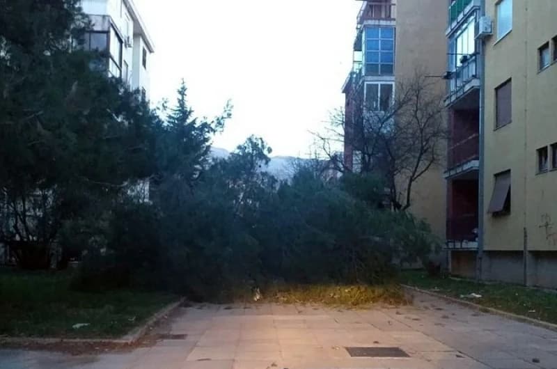 Udari vjetra u Trebinju i do 100 kilometara na sat lomili stabla