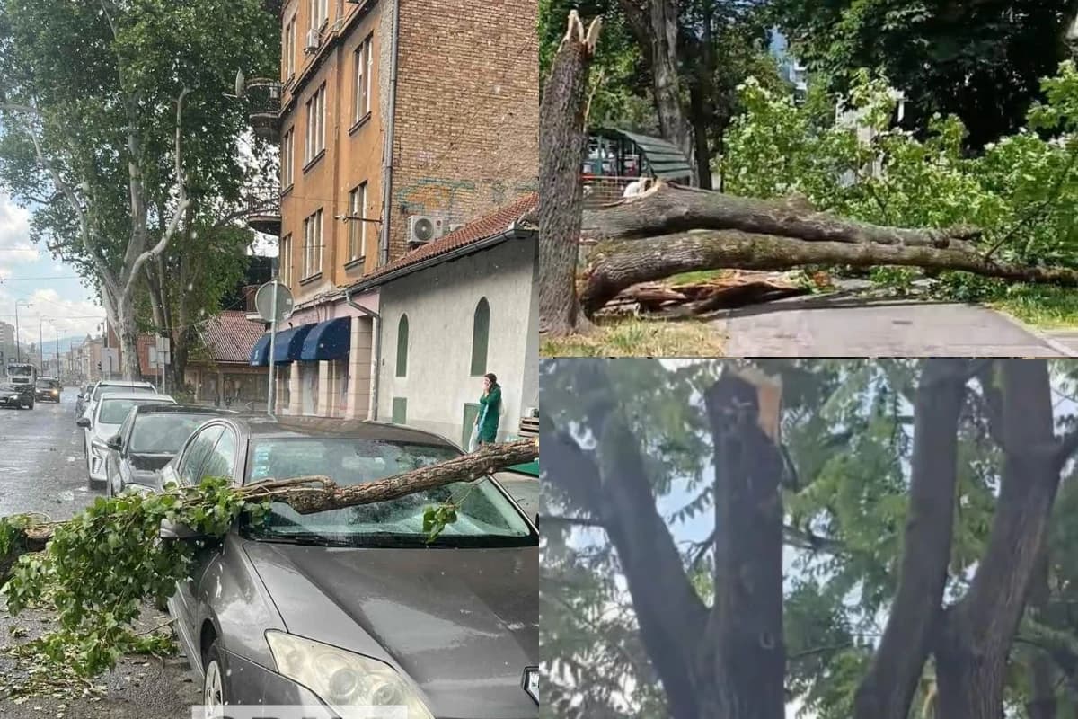 Jak vjetar u Sarajevu u par minuta napravio havariju: Srušila se stabla, oštećeni automobili