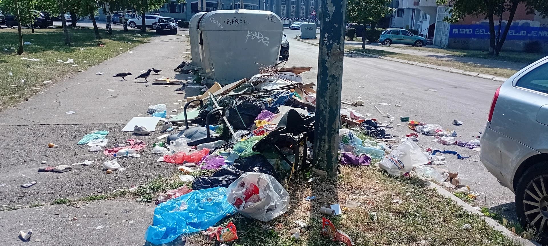 Ovako se odlaže smeće na Alipašinom Polju, kontejneri skoro prazni, ali su ga puni trotoari i zelene površine