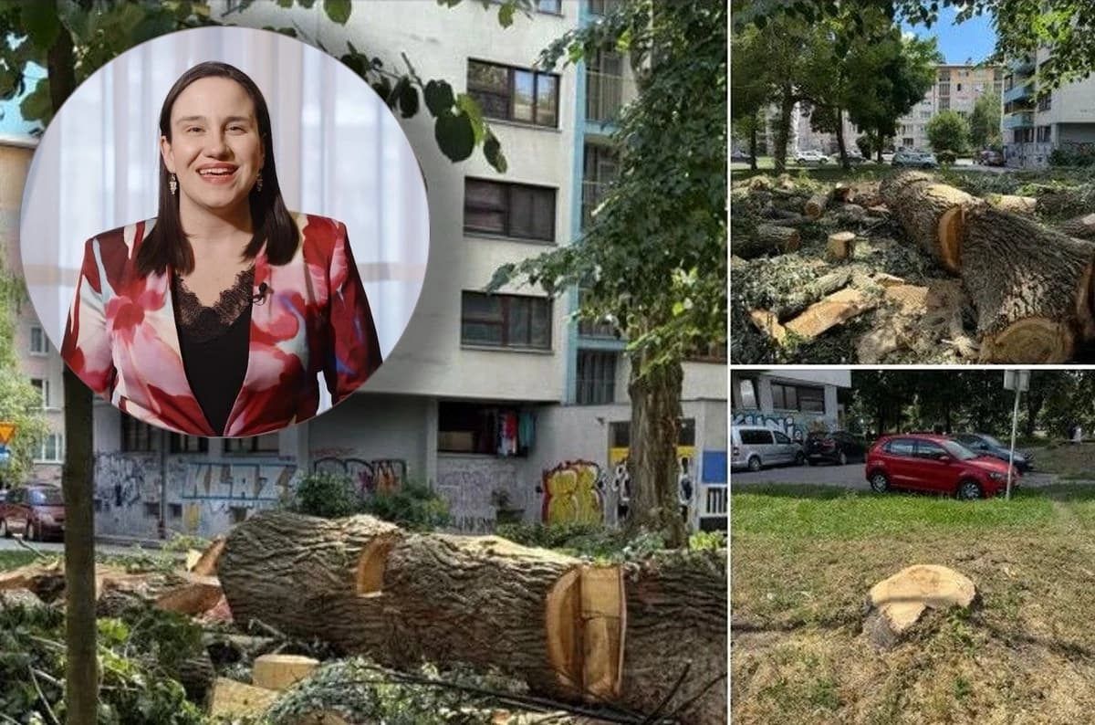 Eko Akcija: Benjamina Karić je najpogubnija osoba po gradsko zelenilo od postanka Sarajeva