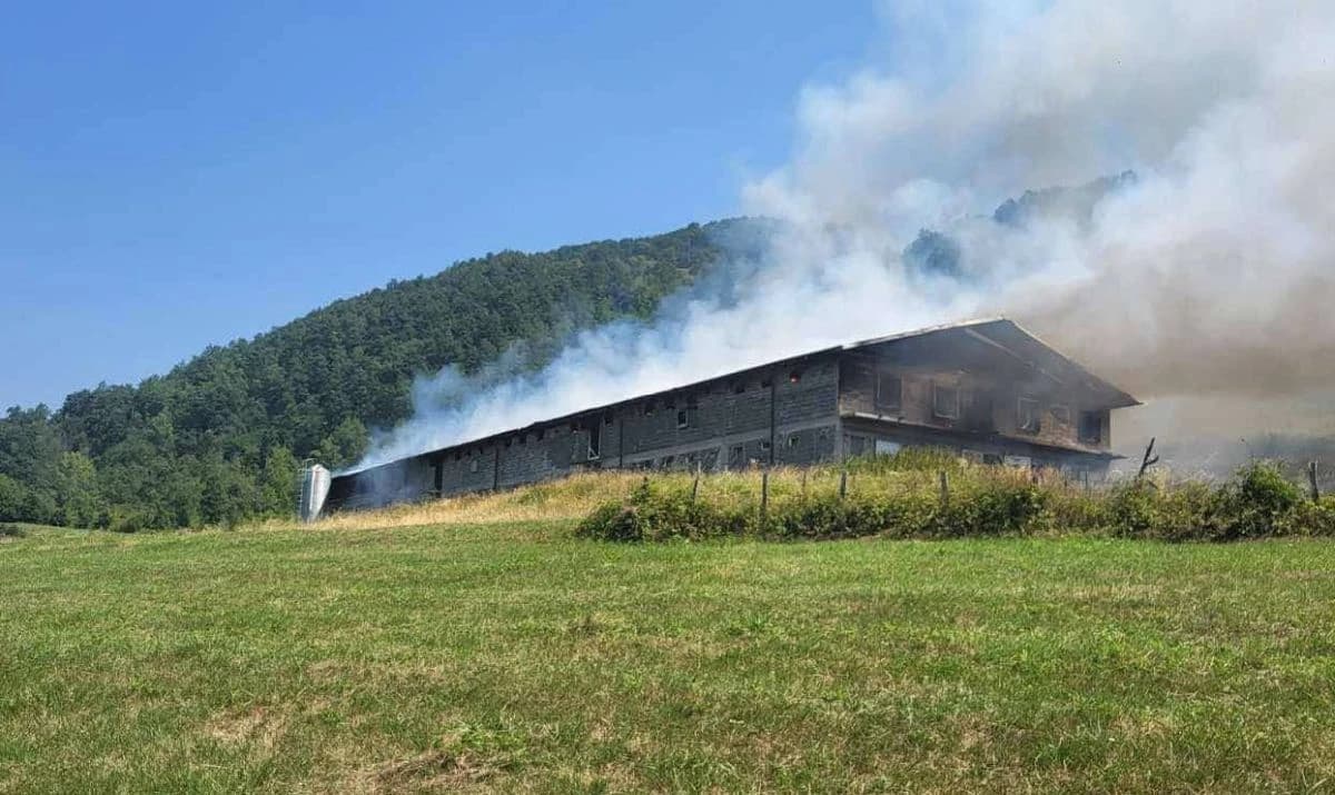 Vatra progutala farmu pilića u povratničkom selu kod Srebrenice