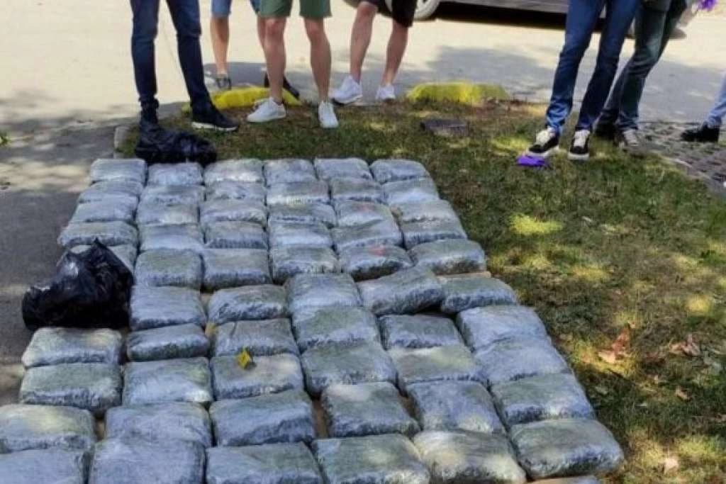Poznato ko je uhapšen u Sarajevu sa 73 kilograma kanabisa, predat u Tužilaštvo