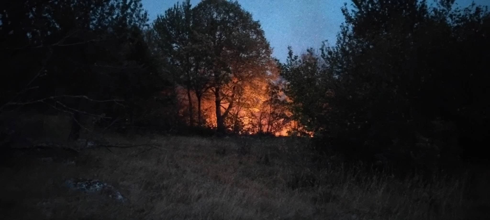 Vjetar rasplamsava vatru i širi požar