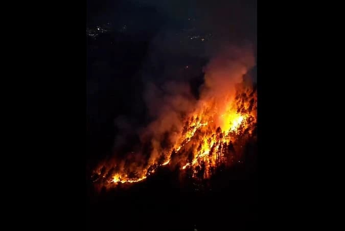 Teška situacija kod Konjica: Gori borova šuma, sve raspoložive ekipe su na terenu