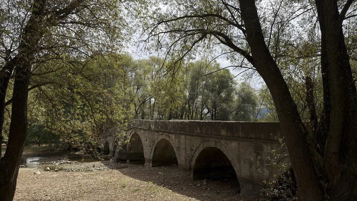 Kiše ni za lijeka