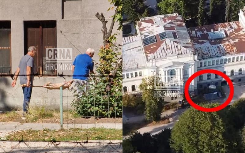 Nesvakidašnji prizori u Botaničkoj bašti Zemaljskog muzeja BiH: Radnici okretali prase na ražnju