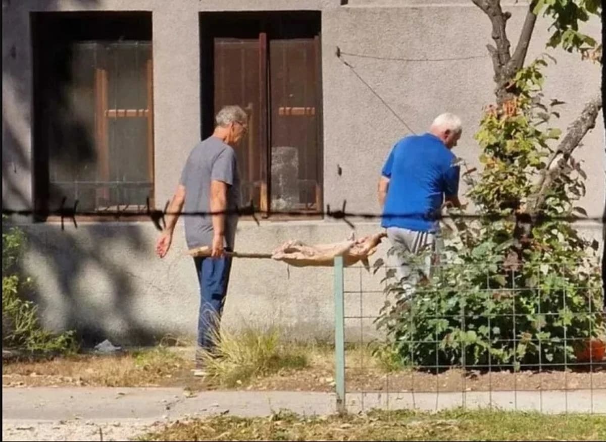 Nakon incidenta u Zemaljskom muzeju: Zbog okretanja praseta na ražnju izrečena kazna od 200 KM