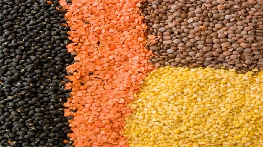 Mahunarka koja se rijetko sprema, a odlična je za srce i puna je željeza