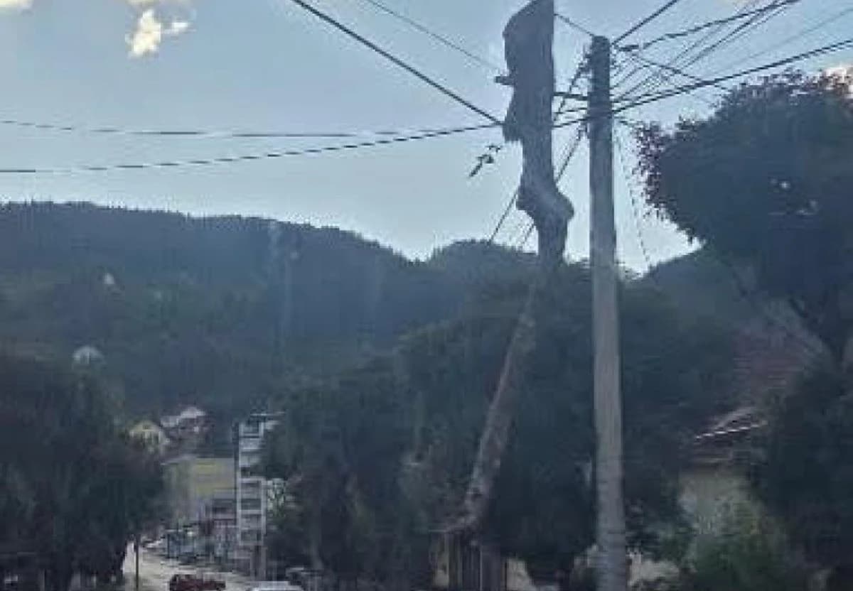 Nesvakidašnji incident u Rogatici: Balvan ostao visiti s kablova elektromreže