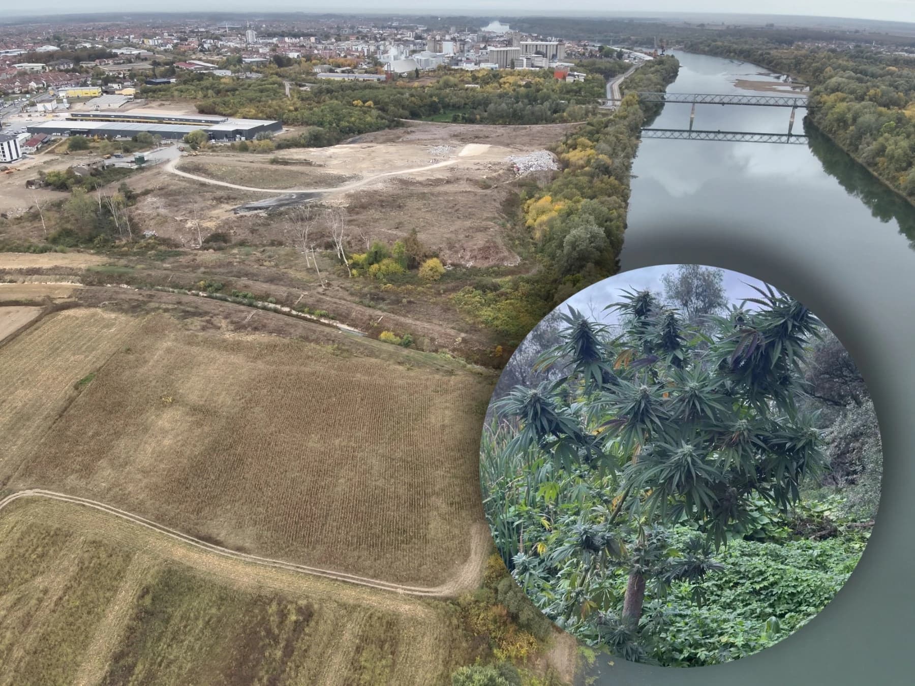 Brčko: Tokom nadzora granice, dron "uhvatio" zasade kanabisa, uhapšene dvije osobe