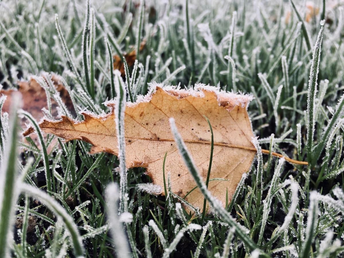 Nakon zahlađenja, BH Meteo objavio: Šta nas očekuje narednih dana