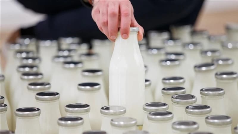 Mljekari zaprijetili protestima zbog problema sa otkupnim cijenama