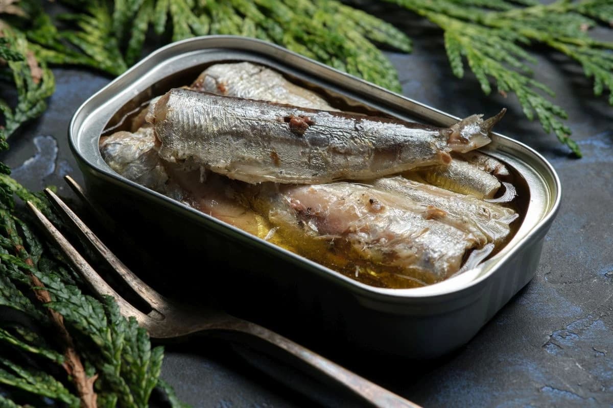Kardiolog otkrio šta se dešava sa srcem ako jedete sardine iz konzerve