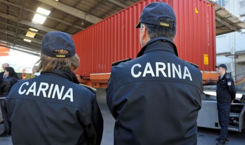 Carinici, ilustracija 