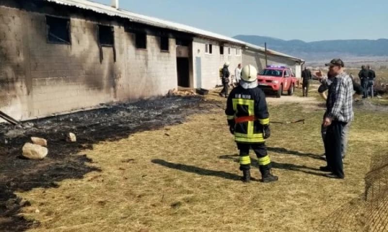 Drugi put da je nesreća zadesila istu farmu u Mandinu Selu