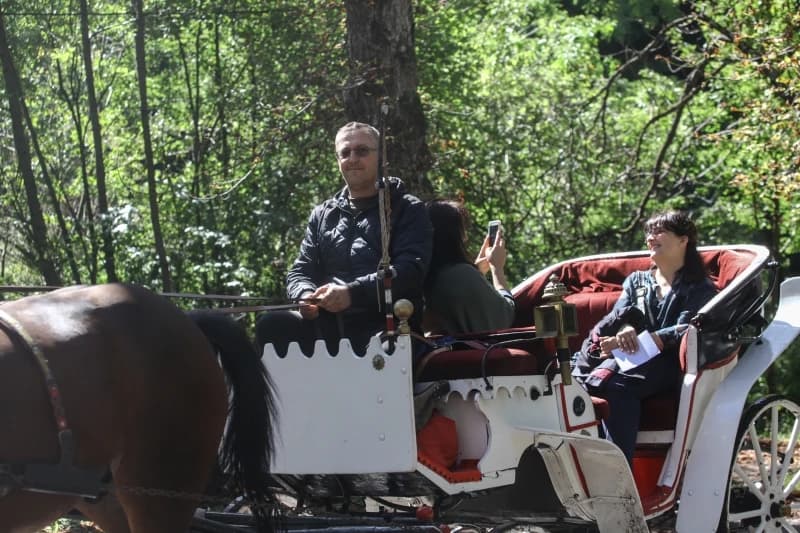 Velika aleja na Ilidži pusta i fijakeri na čekanju zbog koronavirusa