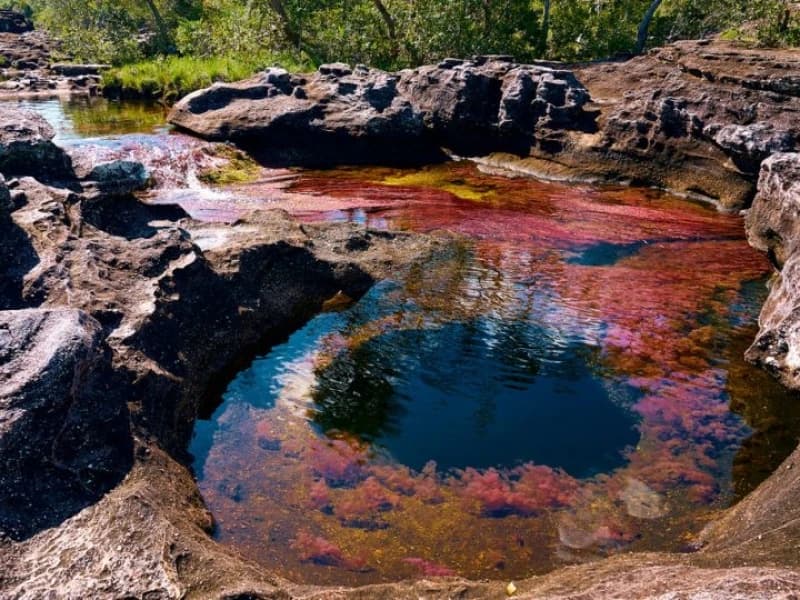 cano cristales