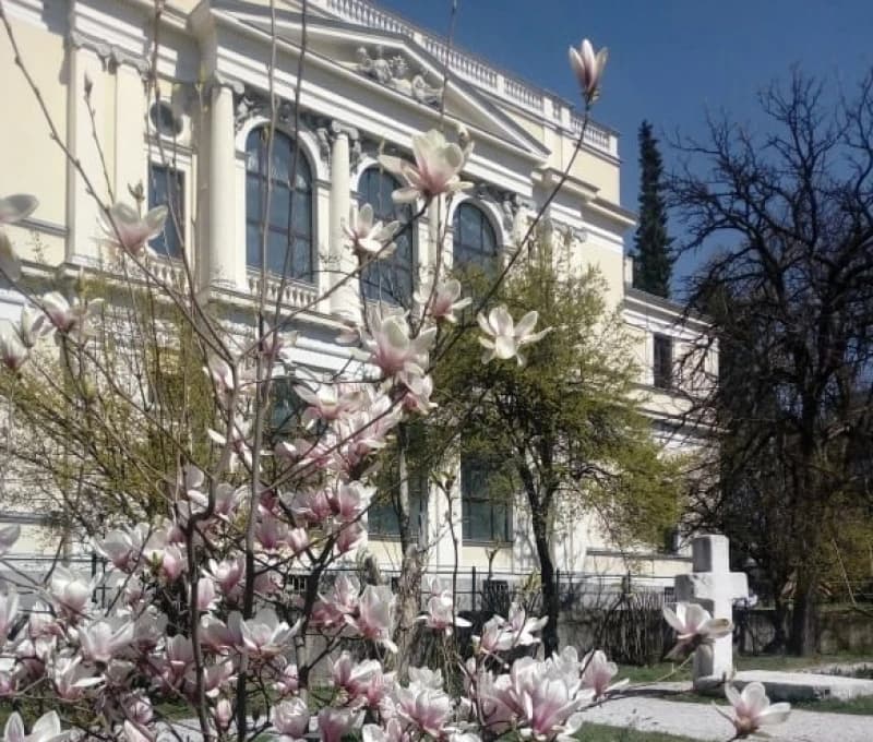 Zemaljski muzej BiH