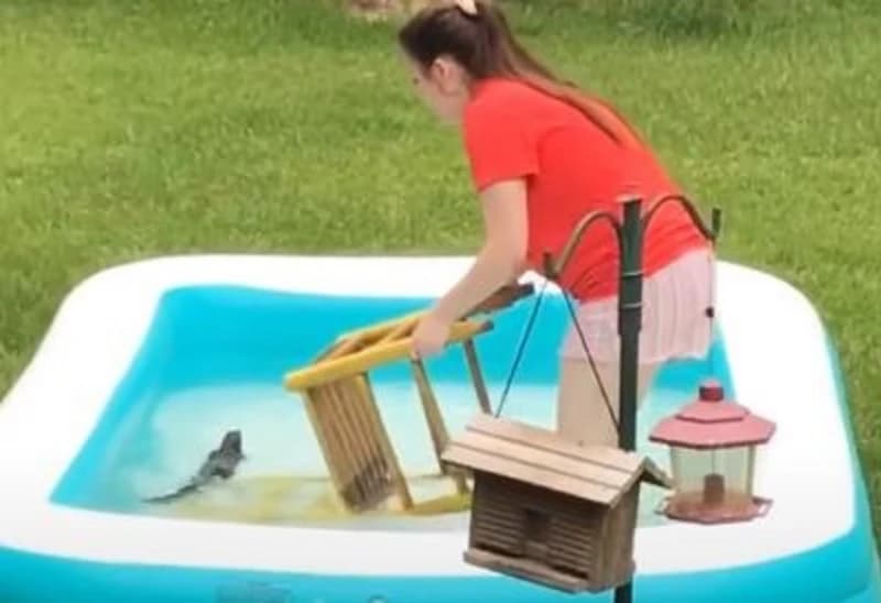 Reakcija djevojke na koju je vjeverica skočila dok je pokušavala spasiti nasmijala mnoge