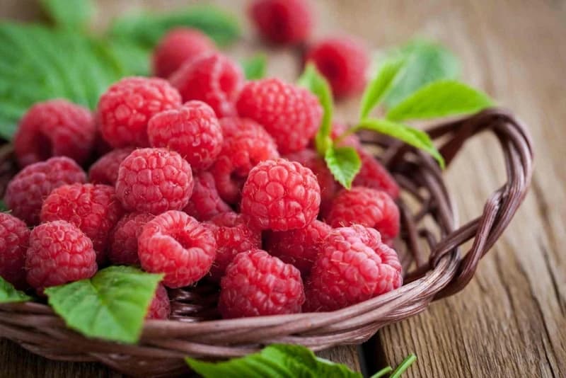 Maline 