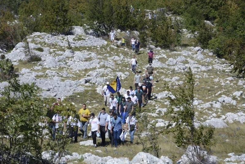 Čavkarice
