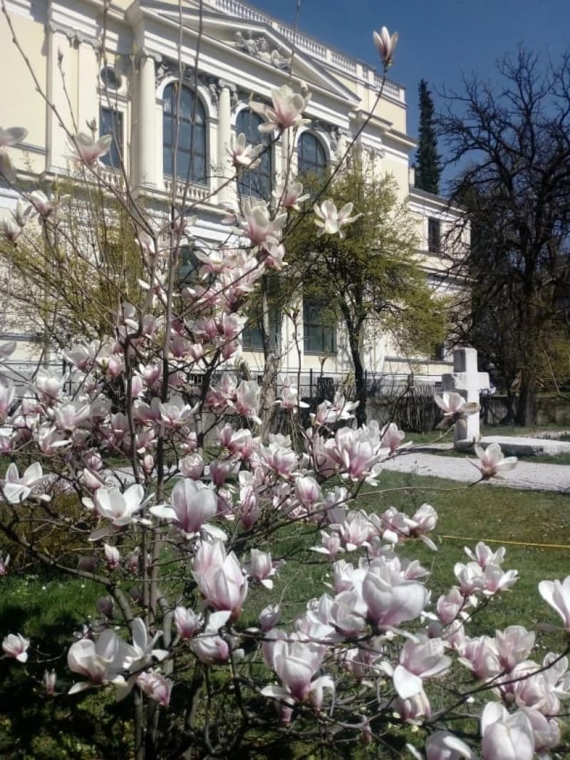 Zemaljski muzej BiH