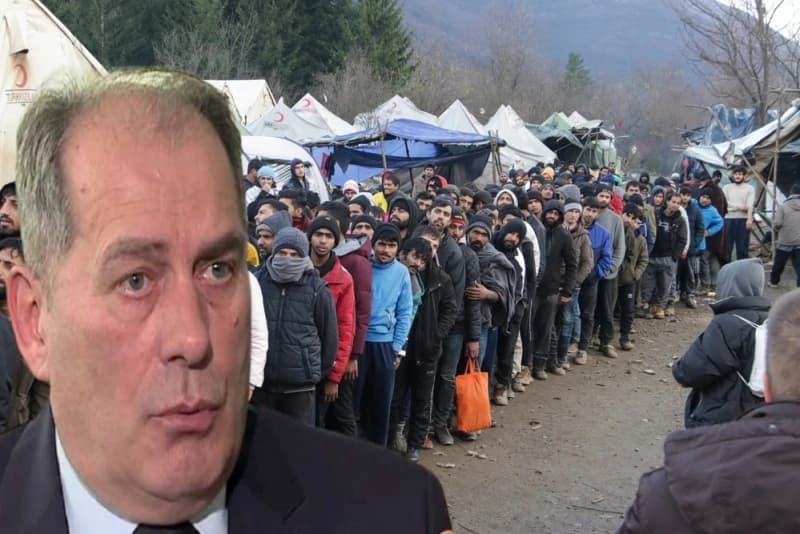 Dragan Mektić, migranti