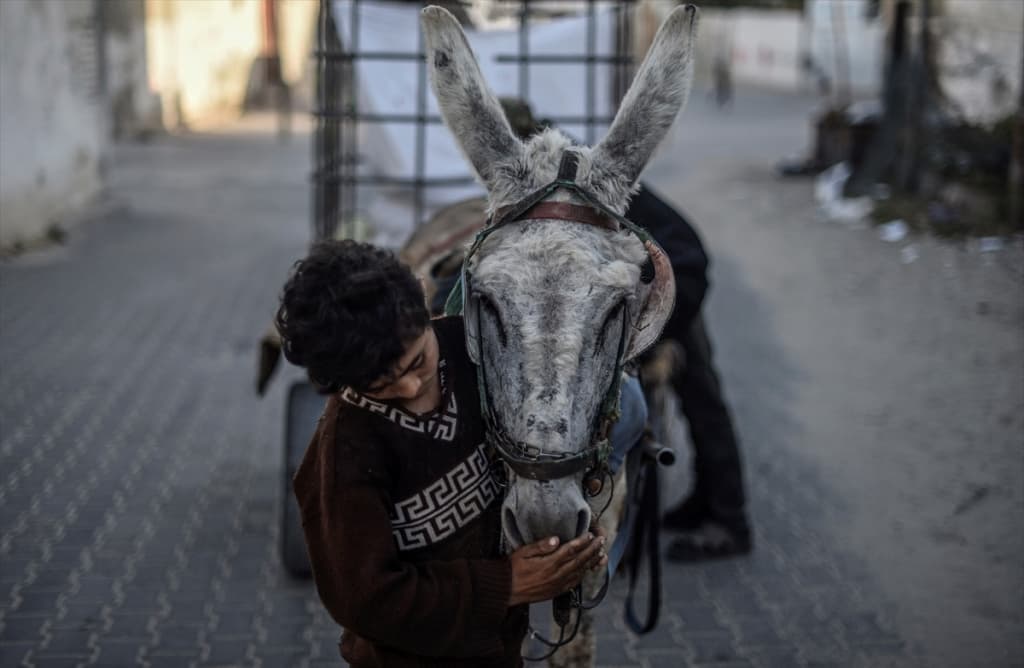 palestinski dječak hasan  (5).jpg