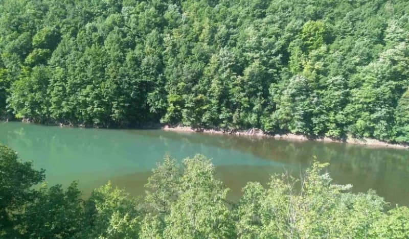 Hiperprodukcija algi u Vrbasu, iz "Vodovoda" uvjeravaju: Voda je ispravna za piće